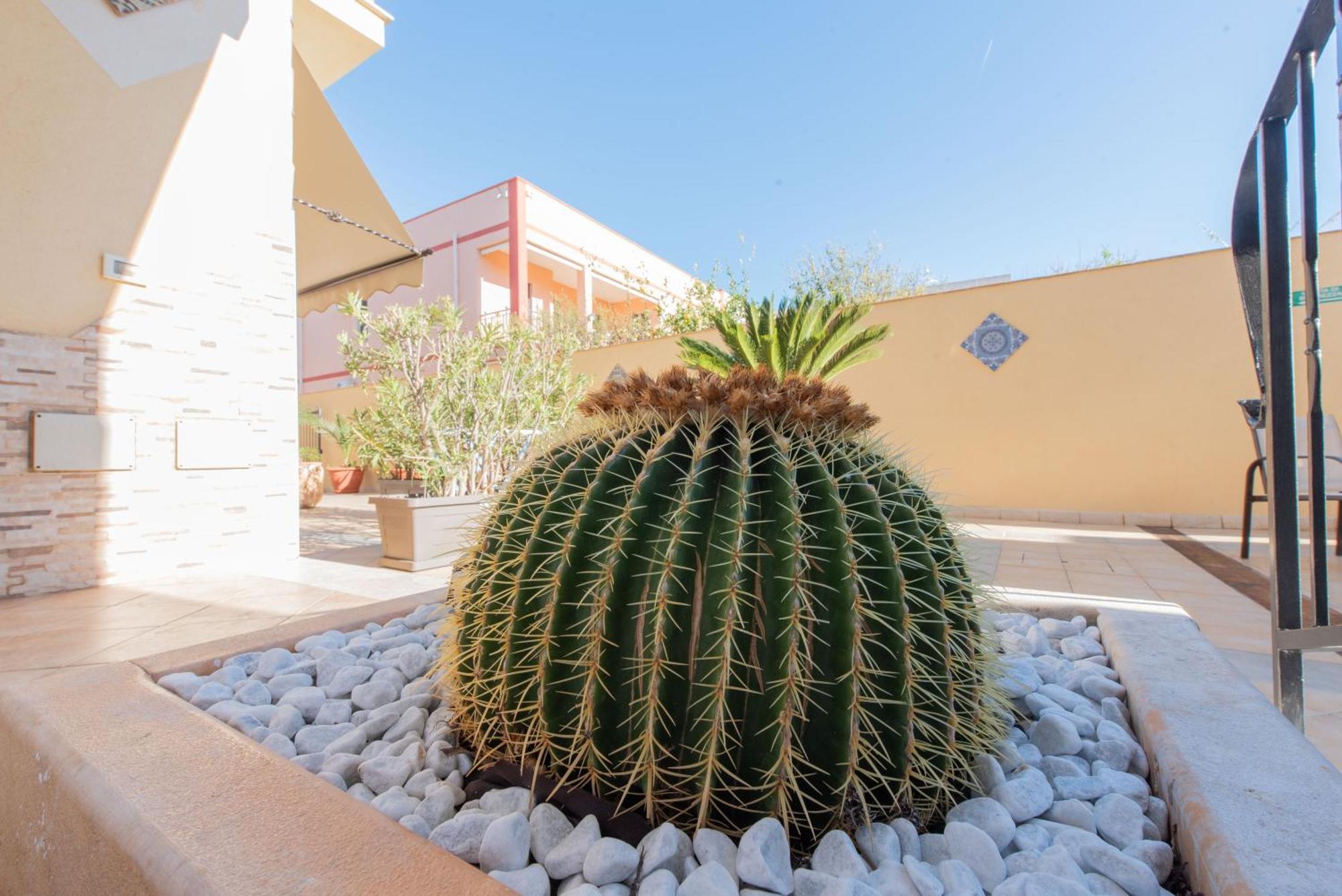 Room & Breakfast Aloe San Vito Lo Capo Dış mekan fotoğraf